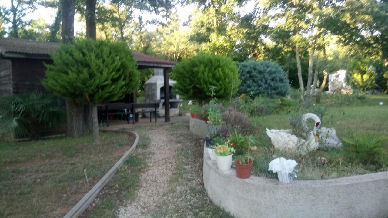 Andjel Apartment Porec