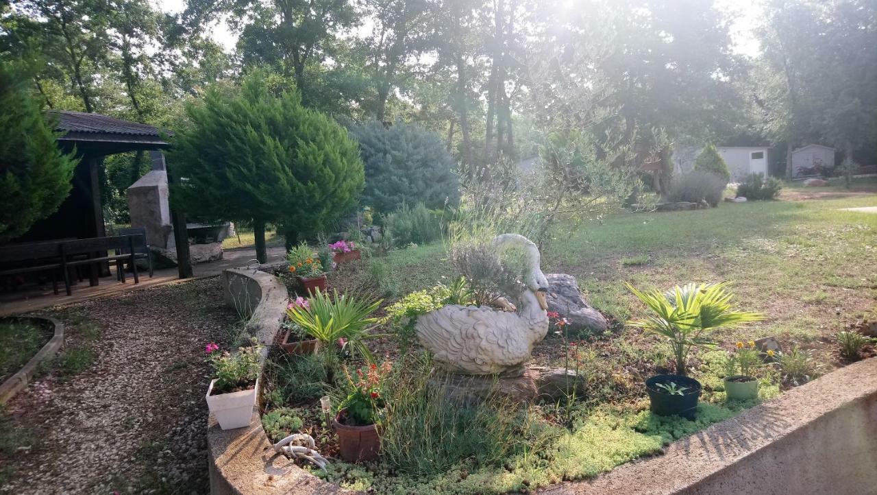 Andjel Apartment Porec